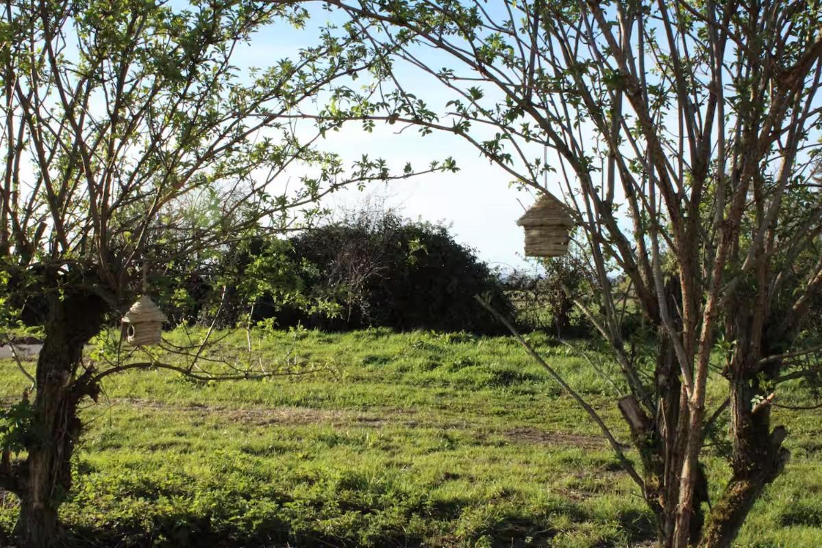 La Bergerie A Palleau, Les Bles Dores Et Les Graines De Lin A Corgengoux, Proches De Beaune Et De Ses Villages Viticoles Εξωτερικό φωτογραφία